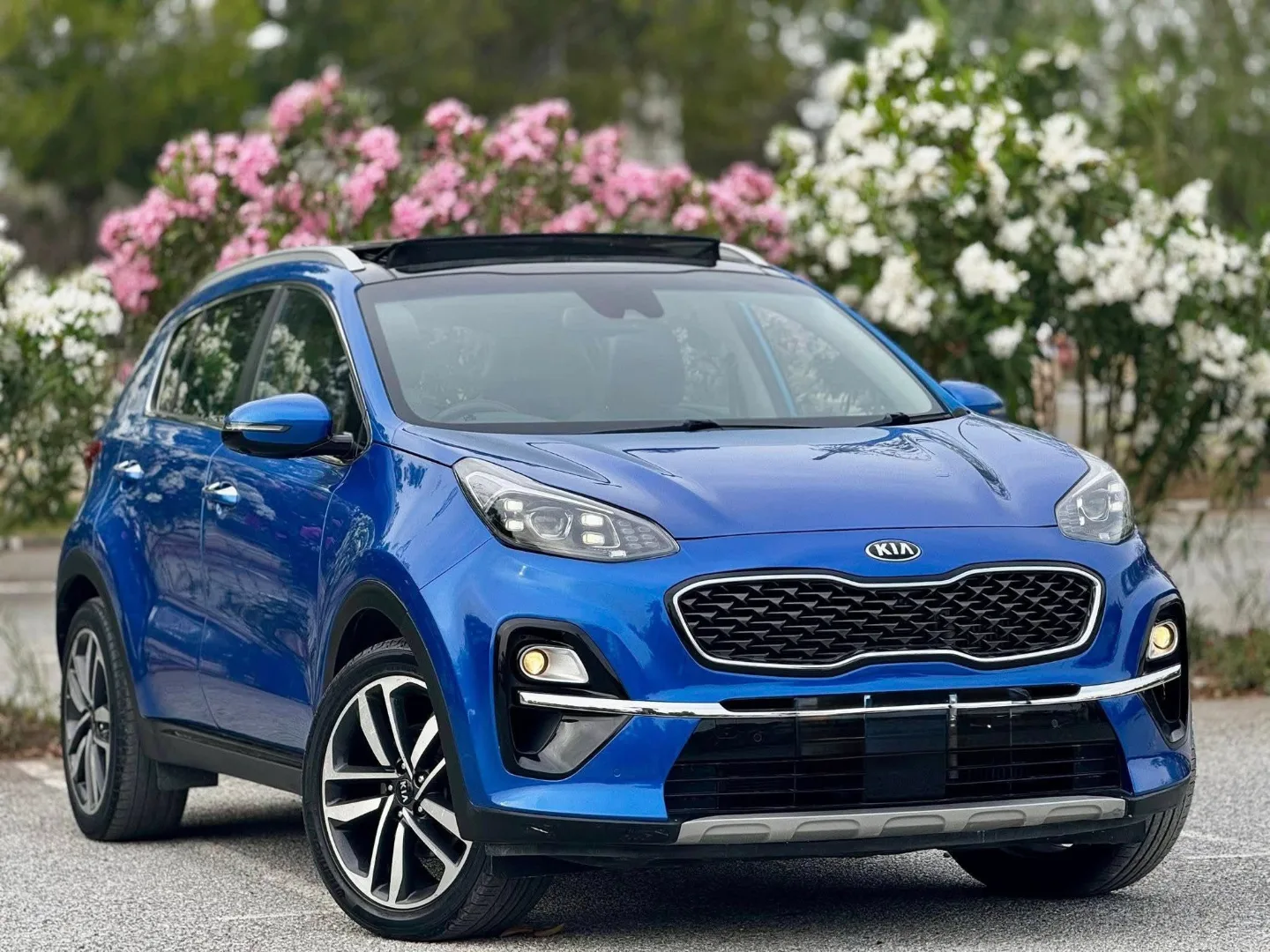2019 Kia Sportage - Fotoğraf 1